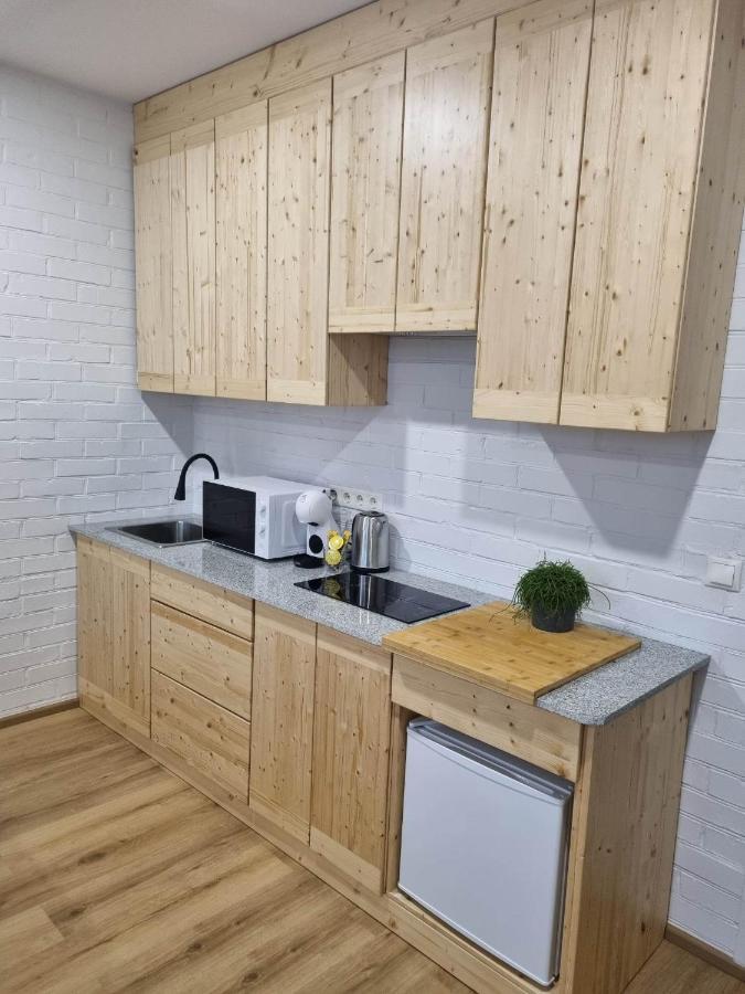 Neries apartments Šiauliai Buitenkant foto