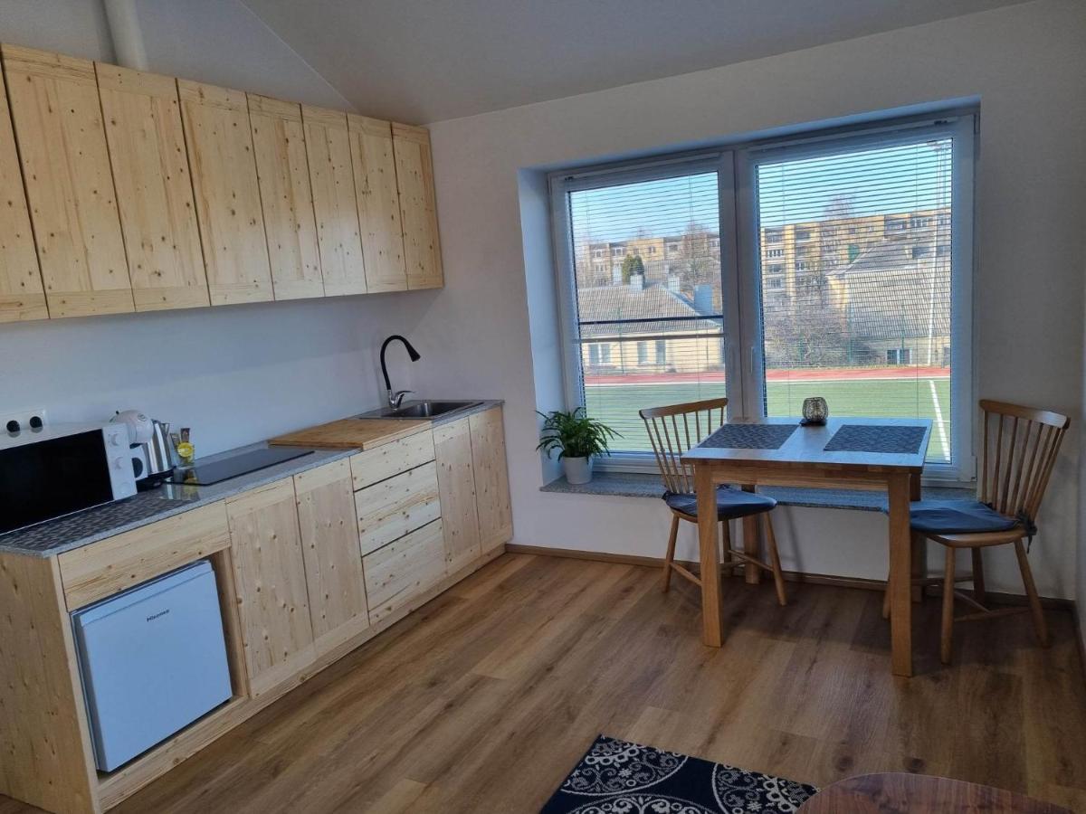 Neries apartments Šiauliai Buitenkant foto