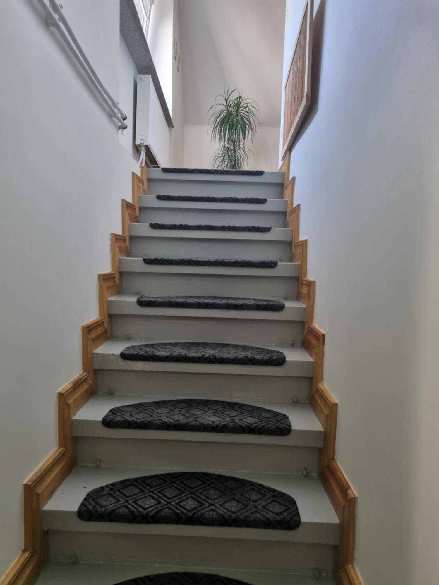 Neries apartments Šiauliai Buitenkant foto